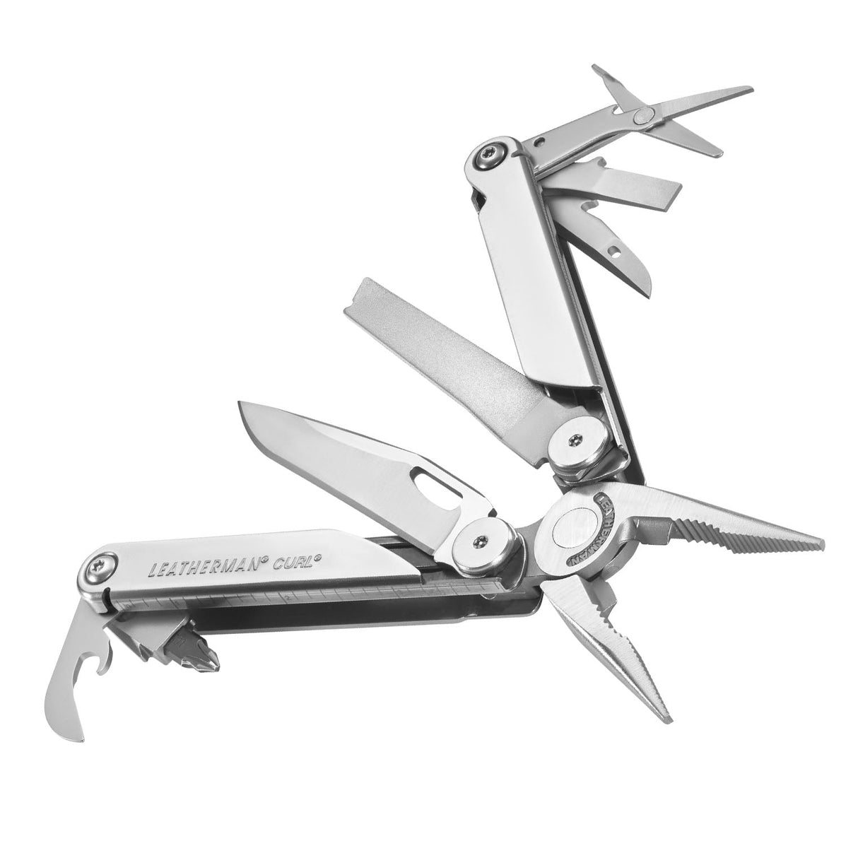 Translation missing: fr.Curl canted and in open fanned position