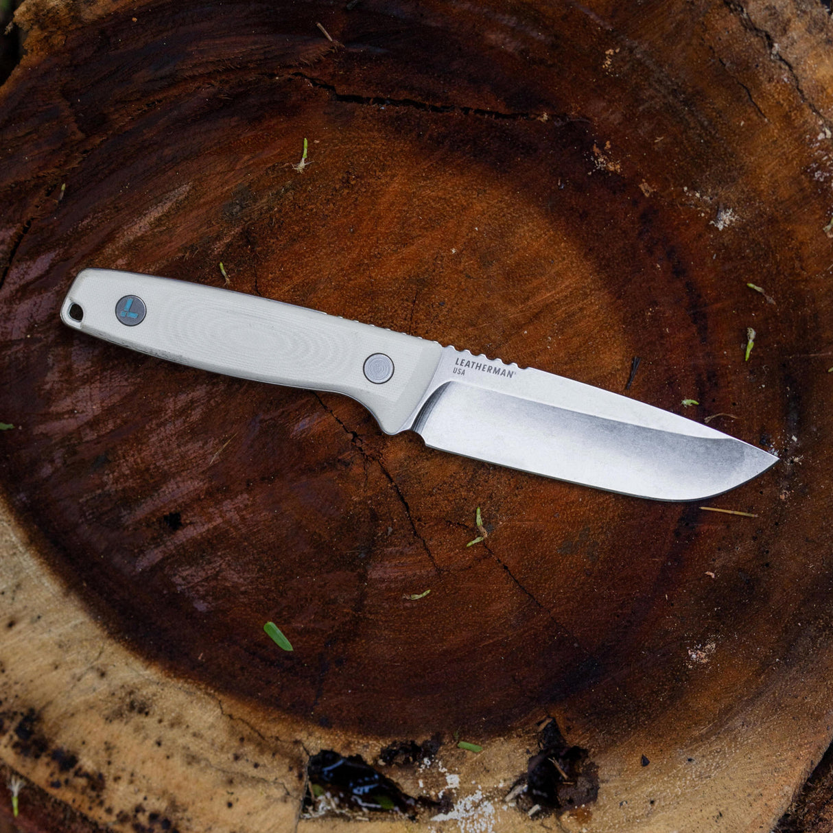 Translation missing: en.Leatherman Trac Alpine fixed-blade knife with a light-colored handle displayed on a weathered tree stump outdoors, surrounded by natural forest debris